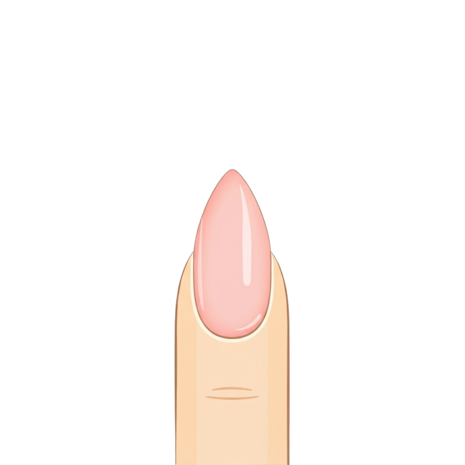 Shop nails by shape - almond, coffin, square and more